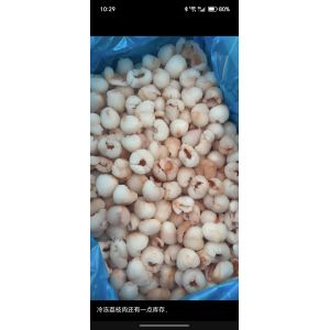 2025 NEW CROP High Quality IQF ​Lychee