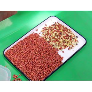 8 Chute Large Sorting Speed Color Sorting Machine Peanut Color Sorter