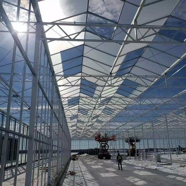 Vegetable Cultivation Soilless Culture Glass Greenhouse Multilayer Planting