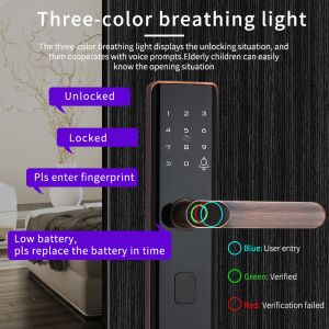 Euro Intelligent Door Lock Tuya Biometric Fingerprint Lock Black