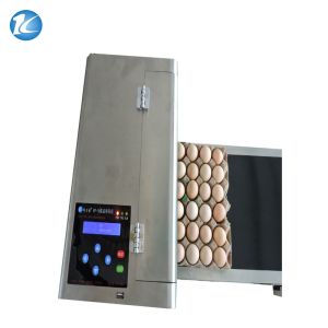 Laser Date Code Egg Marking Equipment One Sides Print Ink Jet Machine