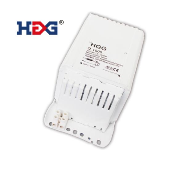 HGG-TE-B 1000W.jpg