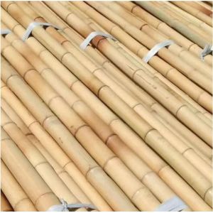 Durable Bamboo Canes for Plant Support and Construction