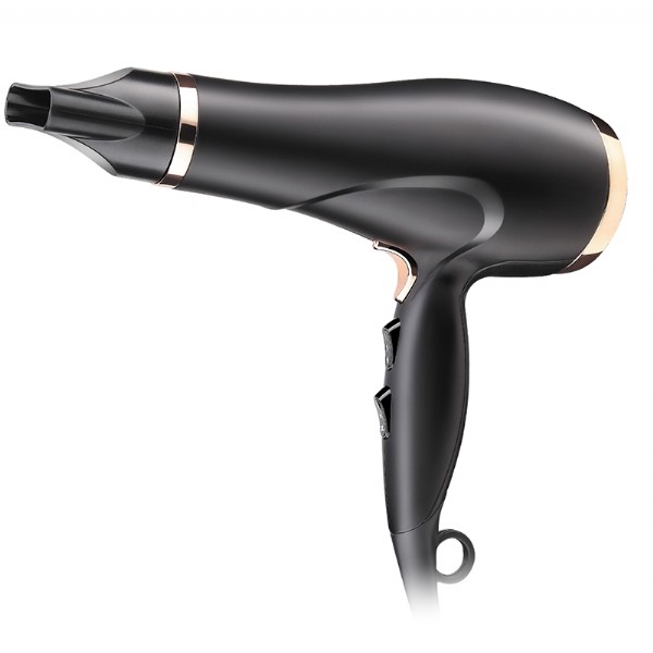 Buy AC Motor Professional Salon Hair Dryer With Concentrator Ionic Function at wholesale prices
