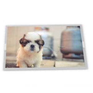 Quality NL10276BC13-01 6.5 Inch High Resolution 1024x768 LCD Display Good WLED LCD Display Module for sale