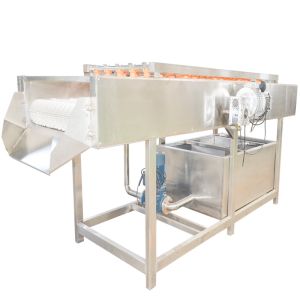 China 600kg/Hour Commercial Vegetable Washing Machine on sale