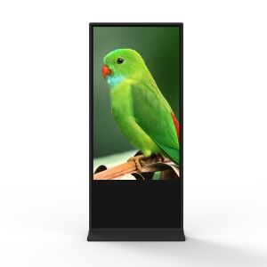 Quality 65 Inch Infrared Touchscreen LCD Advertising Dispaly With Speakers for sale