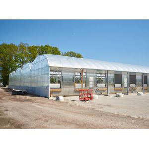 Quality Agricultural Plastic Film Greenhouse Length 32m-80m With Hot Dipped Galvanized Steel Frame for sale