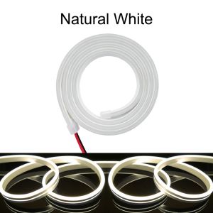 8X16MM IP65 LED Neon Rope Light 12V DC LED Flexible Tube Light