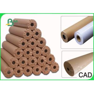 24'' 36 " × 50m Plain CAD Drawing Paper Roll For Apparel Factory 80GSM