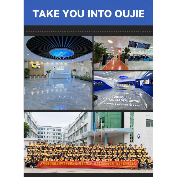 Anti Corrosion Explosion Proof LED Lights IP67 6500K DC 24V Temperature Resistant