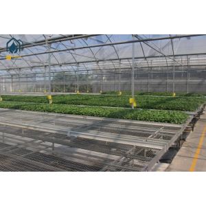 Agriculture Wire Mesh Seed Bench Growing Tables Greenhouse Rolling Benches