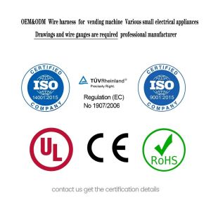 Electric Vehicle Wiring Harness for Operation in EURO Market OEM Color and OEM