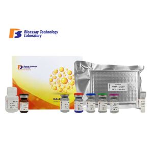 Quality Oem Cathepsin B Sandwich Porcine ELISA Kit With Strong Sensitivity And Specificity for sale