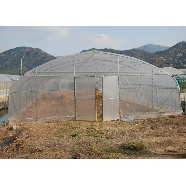 Buy 150Micron Single Span Greenhouse Customizable Plastic Film Greenhouse at wholesale prices