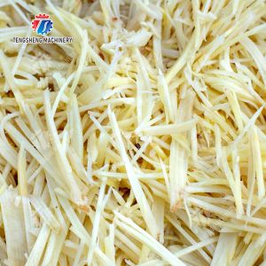 Carrot radish Ginger Shredding machine Bamboo shoots Cutting processing