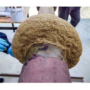 Negligible Volatility Petrolatum Mastic For Long-Lasting Fitting Sealing