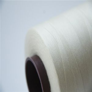Flammability Low, High Breakstrength Fire Proof Thread