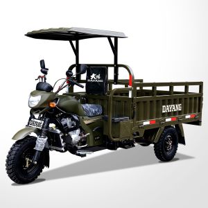 Motorized DAYANG Cargo Tricycles The Ultimate Solution for Farming and