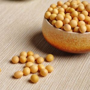 1.5D 2D Natural Protein Soybean Fiber UV Protection Antibacterial