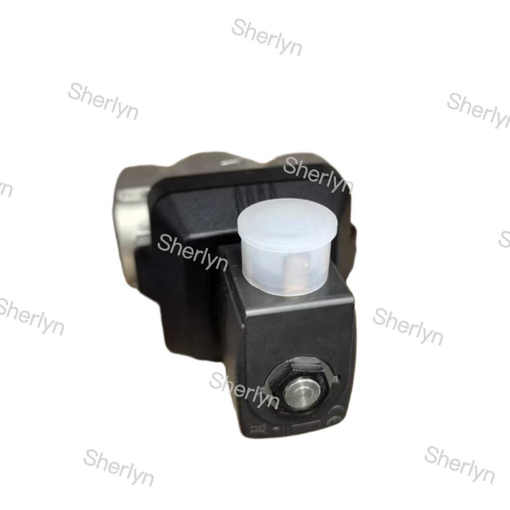 Stainless Steel Burkert Solenoid Control Valve 00228394 G1 AC24V