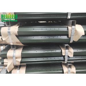 Koi Pond Chain Link Fence Bird Guard