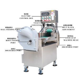 China Commercial Chinese Cabbage Vegetable Cutting Machine Iso on sale