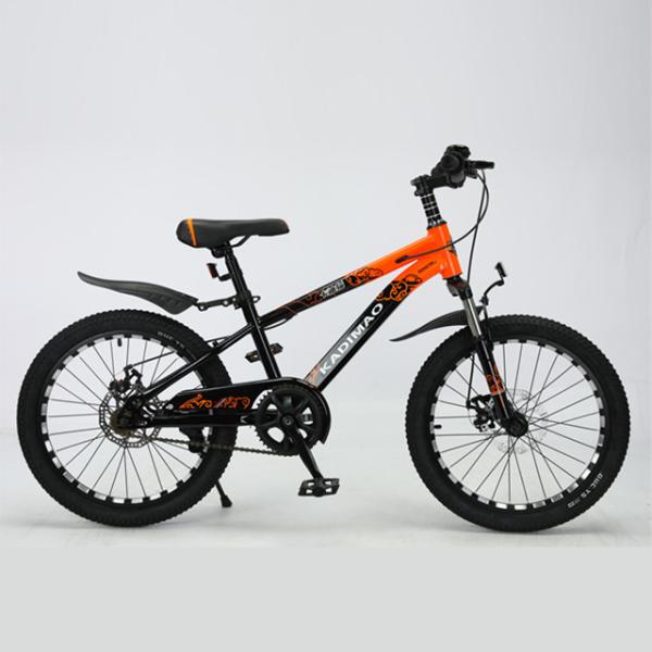 Customized Logo 20 Inch Mountain Bicycle MTB Custom Mountain Bike With Alloy Rim