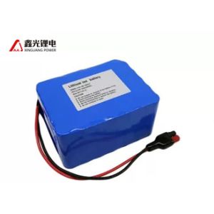 24 Volt 10A Lawn Mower Battery