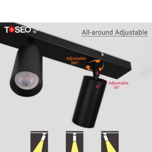 IP20 Surface Mounted Adjustable Downlight Commercial Double Head Spotlight