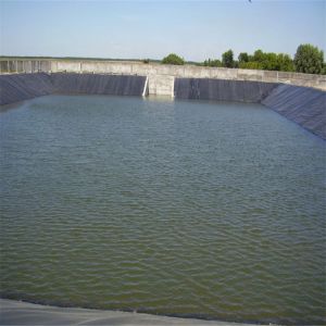 s Geomembrane Provides 1m-8m Width Geomembranes for T-Lock HDPE Waterproofing