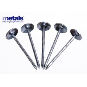 Q195 / Q235 Twisted Shank Umbrella Roofing Nail Carbon Steel