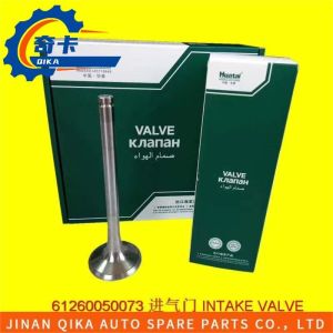 Steel Intake Valve Exhaust Valve HOWO Truck Spare Parts 61260050073 61260050025