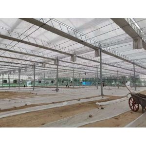 Vegetable Greenhouse Liquid Soil Stabilizer Breeding Soil Solidifying Agent