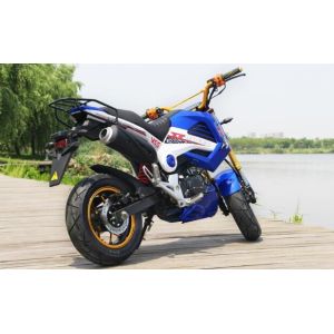 Manual Drive Gas Powered Dirt Bikes Disc Brake 110cc 125cc With Horn