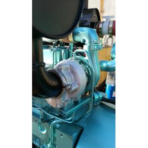 300kw silent natural gas generator biogas generator