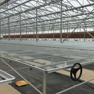 Commercial Polycarbonate Greenhouse for Versatile Vegetable Fruit and Flower