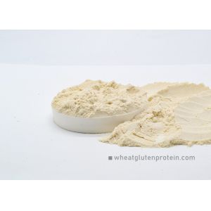 Instant Noodles Spaghetti Nx5.7 Wheat Gluten Protein Powder