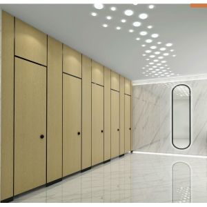 European Standard 12mm Toilet Cubicle Partition Phenolic Board Customizable