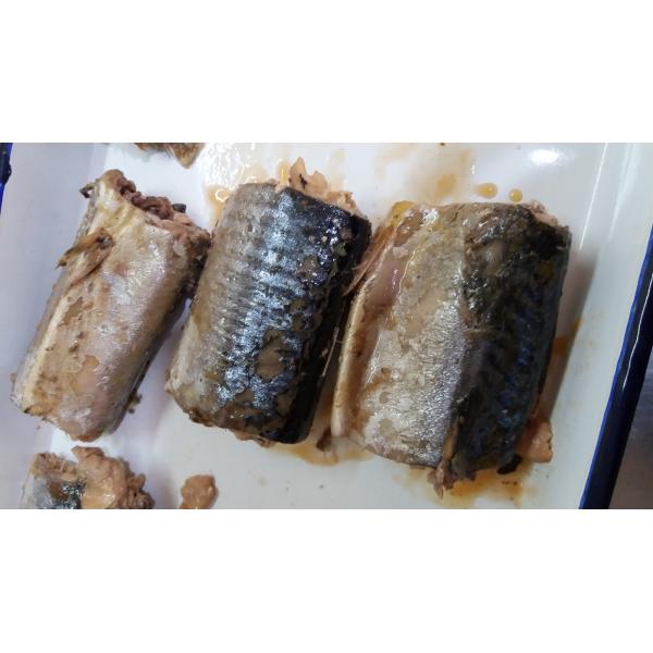 Wild Caught Canned Mackerel Healthy In Brine , Mackerel Fillets Canned For Salad
