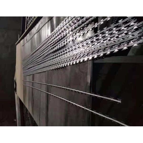 Snake Belly Razor Barbed Wire 500mm 10M Security Razor Wire Fencing
