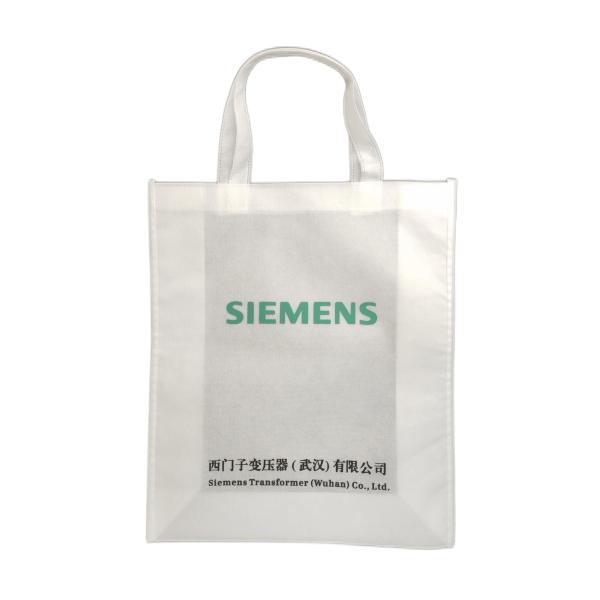 Promotion Non Woven Fabric Bags with Customized Printing Pattern and Accpect OEM