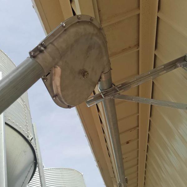 Automatic Piggery Farm Equipment 45mm Dia Disc Chain Feeding Hog Barn Supplies