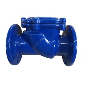 dn100 pn16 ggg50 din check valve
