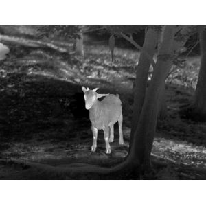 Guide TA 50mm Thermal Imaging Attachment For Hunting