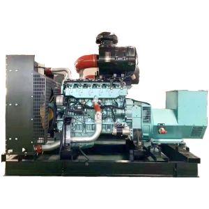 Quality 250kw Biomass Generator/ Methane Gas Generator/ Farm Animal Waste Biogas Generator for sale