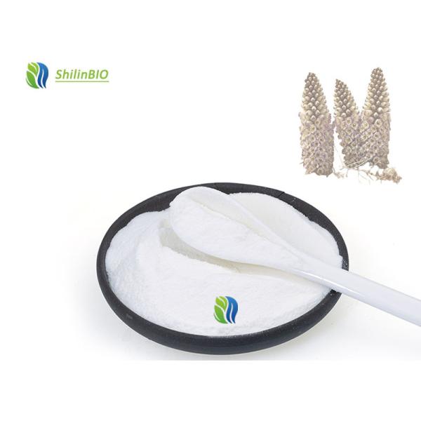 Bulk Factory Supply Top Quality Cistanche Extract 98% Verbascoside Cas 61276-17