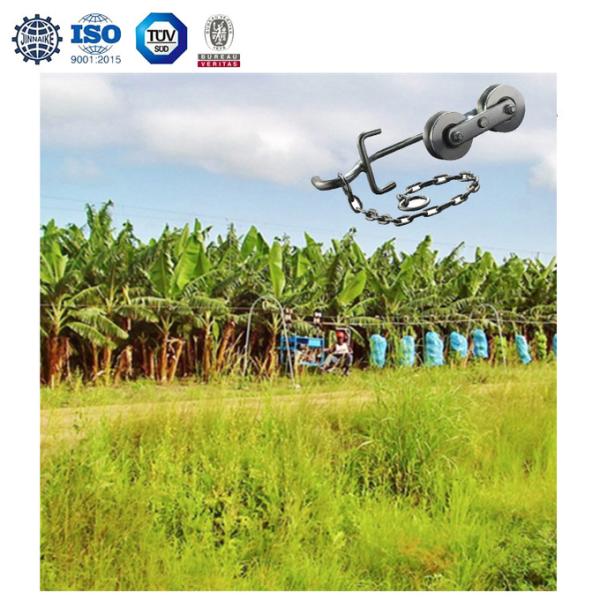 Q235 Iron Cable Via Para Banano Silver Or Yellow Colour