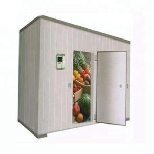 Quality Full Automatic Cold Storage Room For Fish Chicken With Hard Polyurethane Foam Core Material for sale