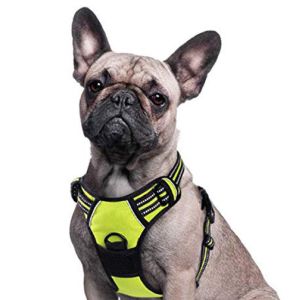 Nylon Reflective Pet Harness Leash For Large Dogs With Pull Handle